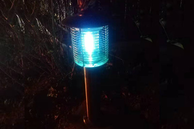 不銹鋼接電小區滅蚊燈夜晚實拍