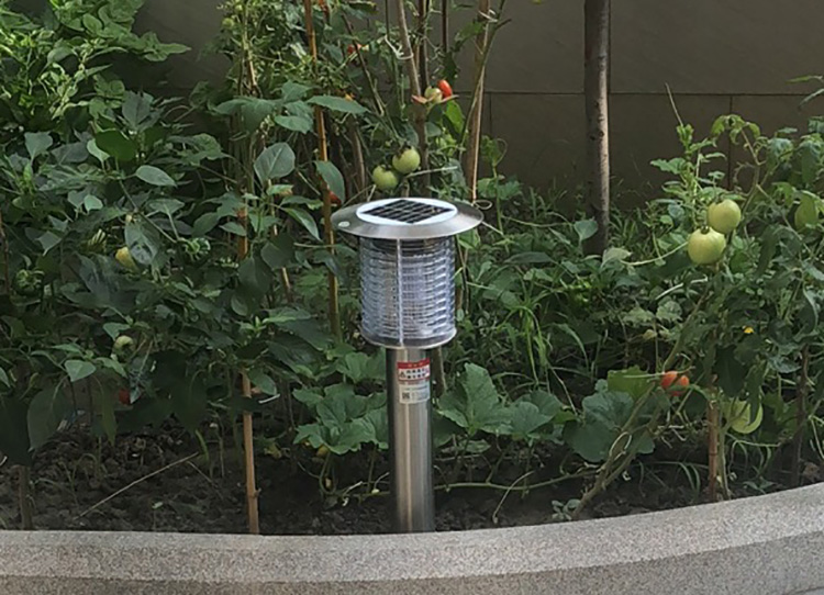 室外滅蚊蟲燈的工作原理詳解，了解如何驅趕蚊蟲